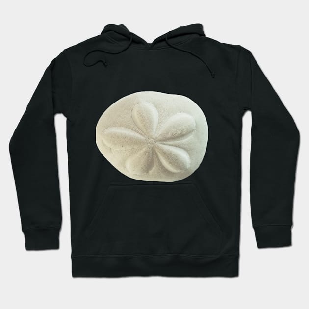 Sand Dollar Hoodie by DesigningJudy